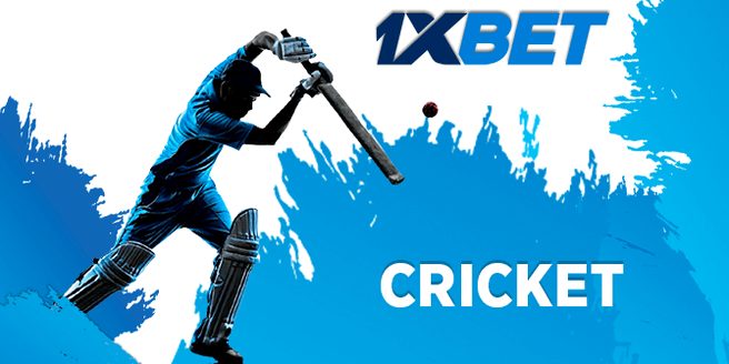 Placing a cricket bet step by step
