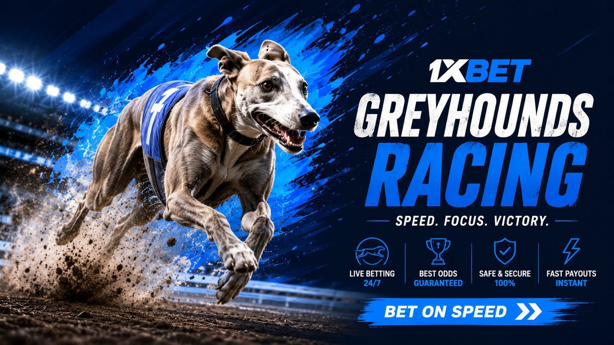 Greyhounds Racing betting for real money at 1xBet